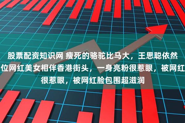 股票配资知识网 瘦死的骆驼比马大，王思聪依然潇洒不羁，四位网红美女相伴香港街头，一身亮粉很惹眼，被网红脸包围超滋润